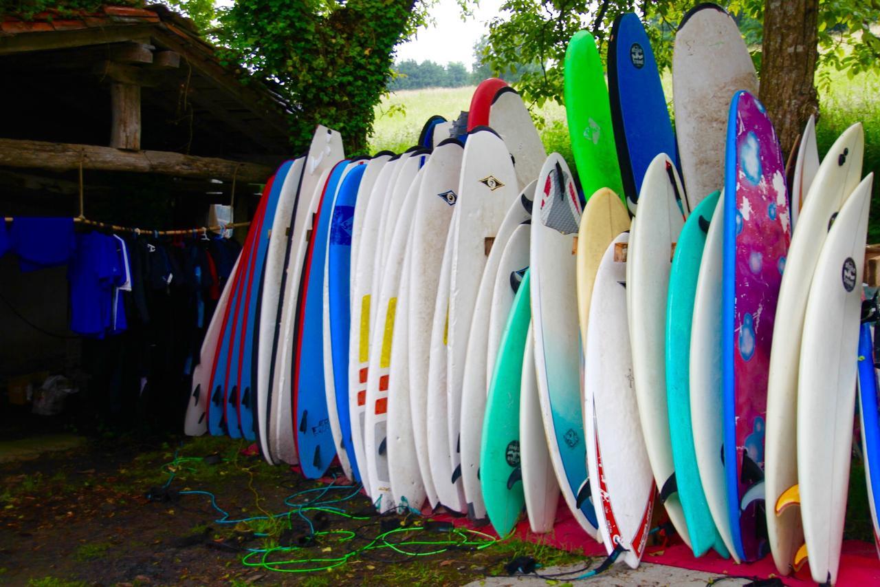 Surf Camp San Sebastian Bed & Breakfast Aia Bagian luar foto